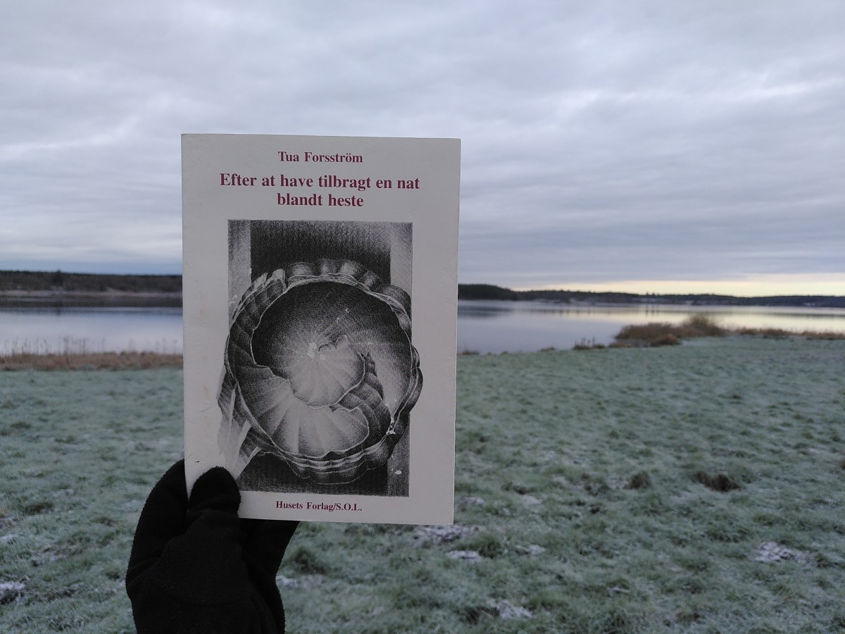 Hvorfor er Tua Forsströms digte i Efter at have tilbragt en nat blandt heste så mesterlige? Fordi de er&nbsp;digte