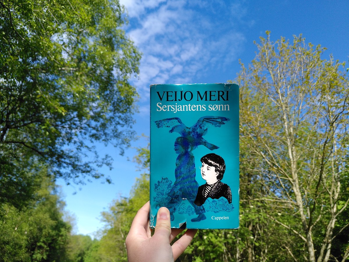 Finske Veijo Meris uretfærdigt oversete barndomsroman handler om en af de sidste somre, før plejer&nbsp;døde