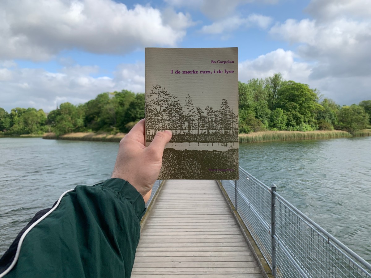 Når man skriver helt uden det specifikke, skriver man tidsløst eller anonymt. Carpelan vakler mellem de&nbsp;to